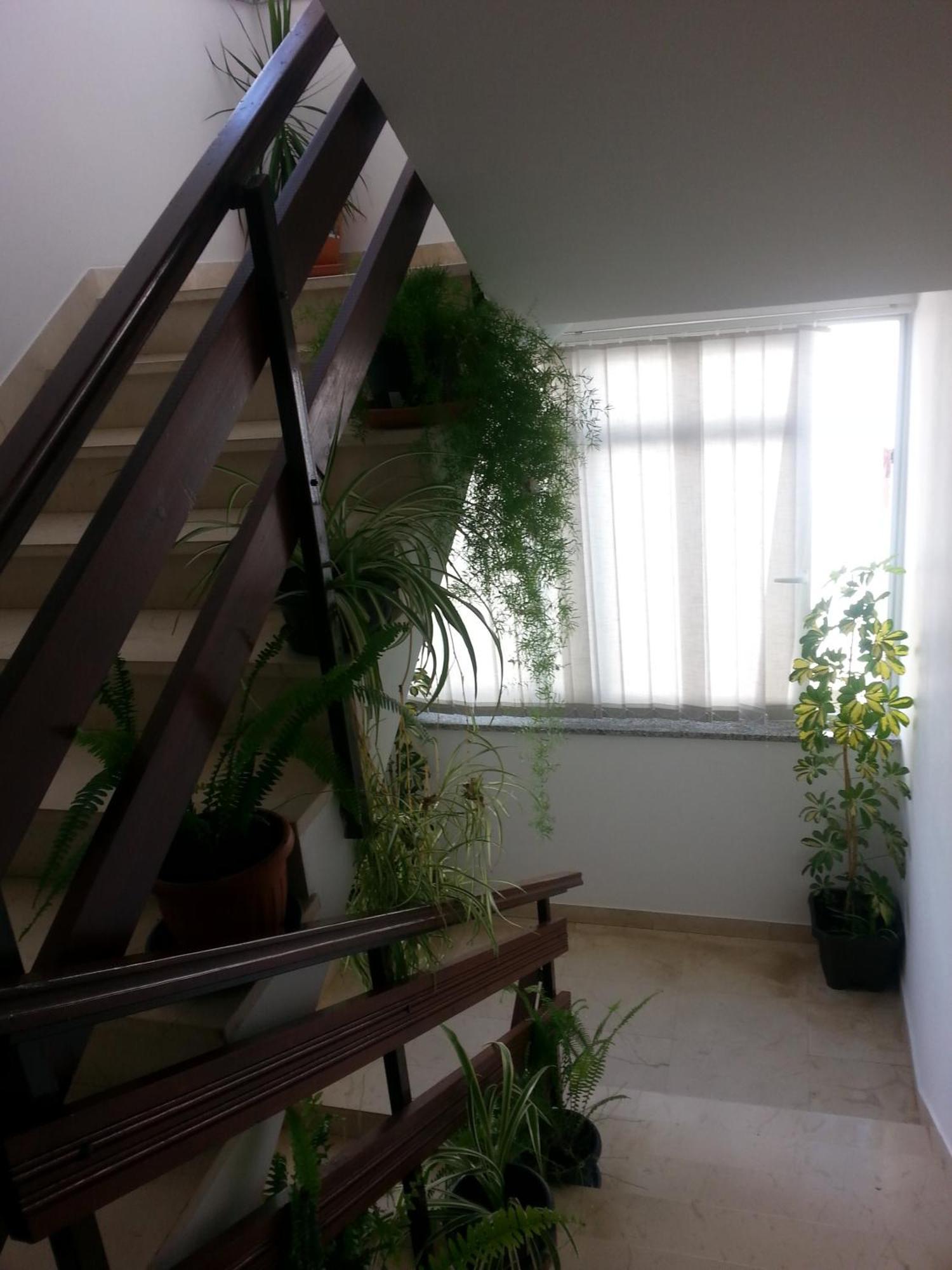 Apartments Roncevic Zadar Bagian luar foto