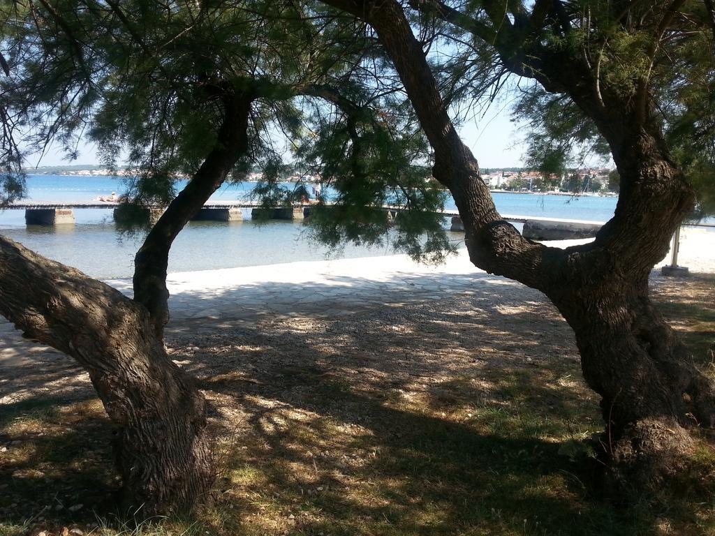 Apartments Roncevic Zadar Bagian luar foto